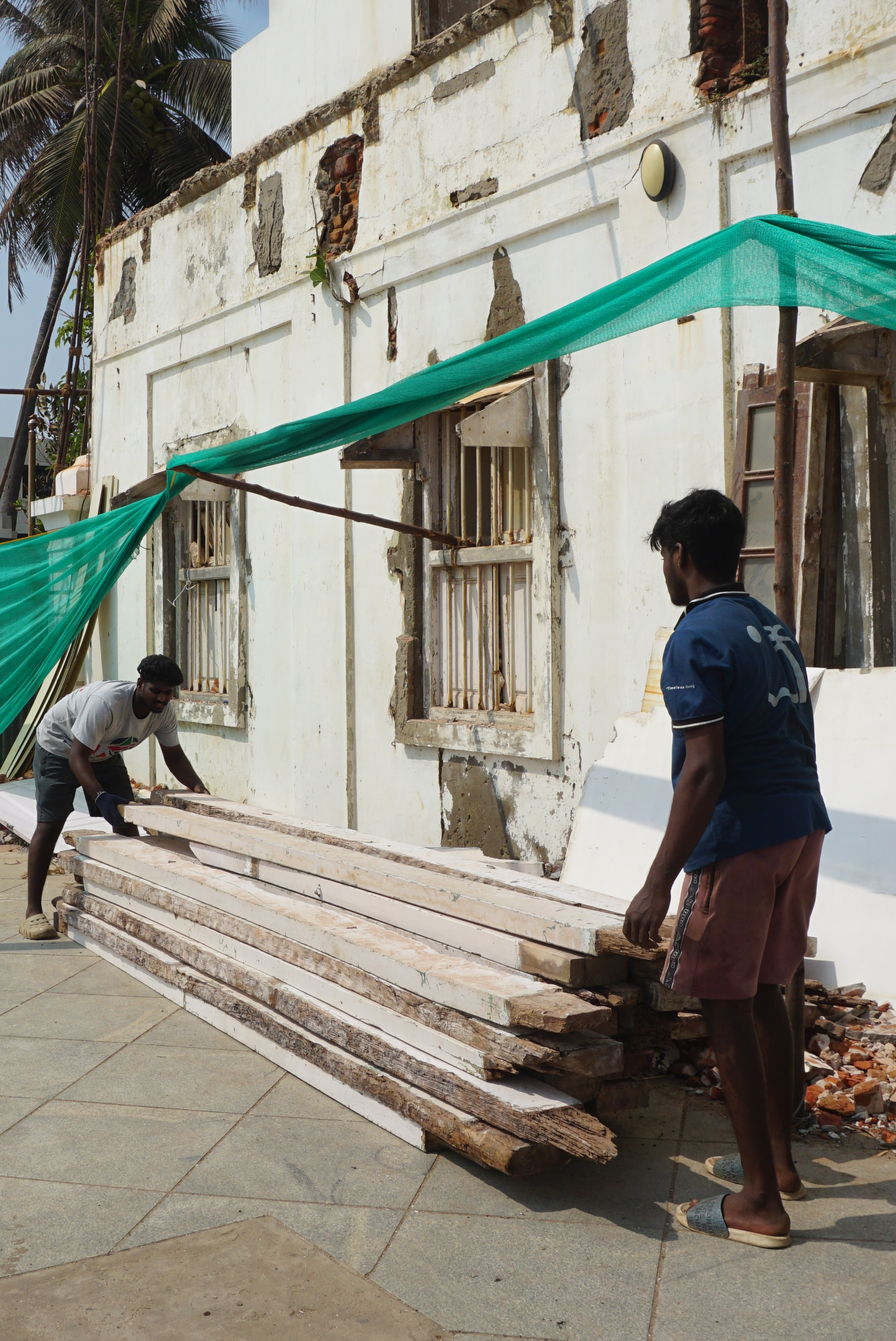 Hardwood logs selected for solid wood furniture